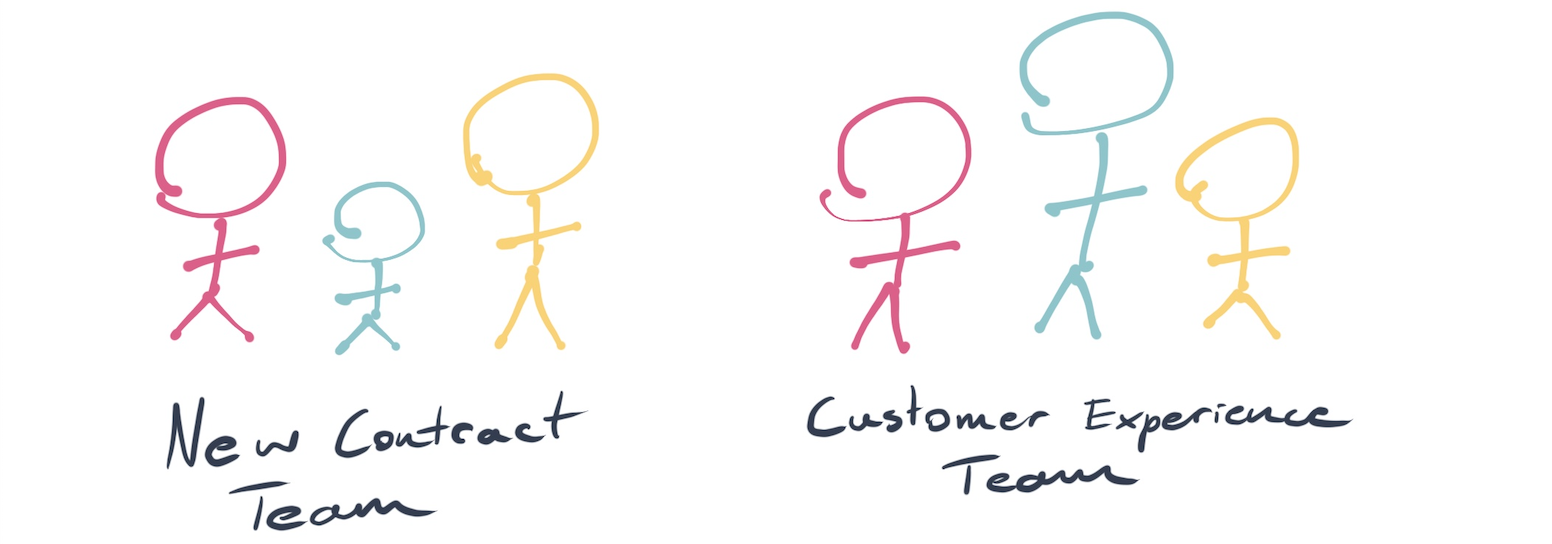 functional teams over project teams